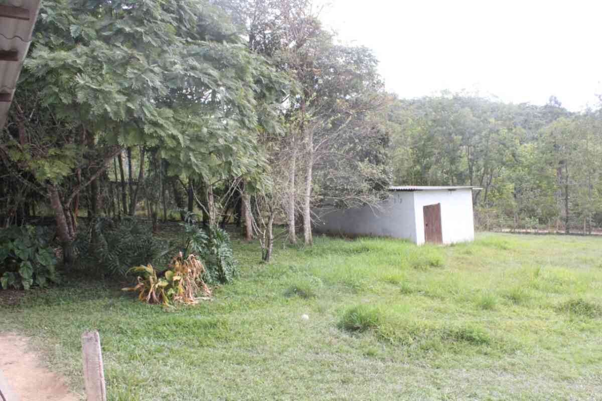 chacara-sitio-estrada cananeia-7 km de pariquera-açu-2 casas-lazer-moradia-cercada-pomar-braço magro-13