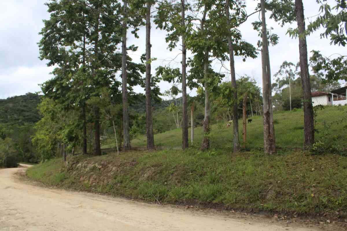 chacara-sitio-estrada cananeia-7 km de pariquera-açu-2 casas-lazer-moradia-cercada-pomar-braço magro-15