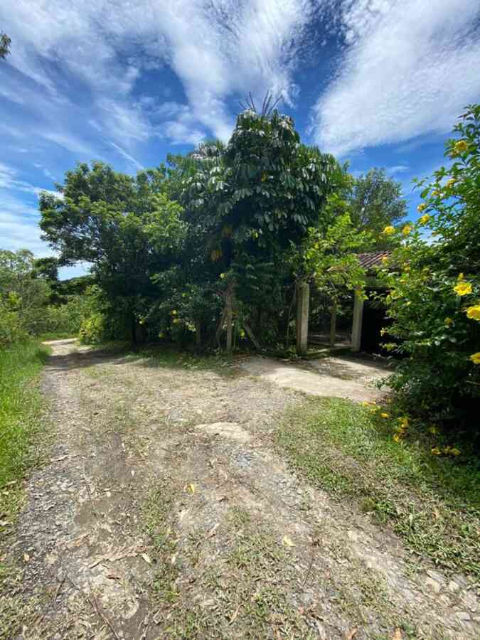 chacara-sitio-estrada cananeia-7 km de pariquera-açu-2 casas-lazer-moradia-cercada-pomar-braço magro-3