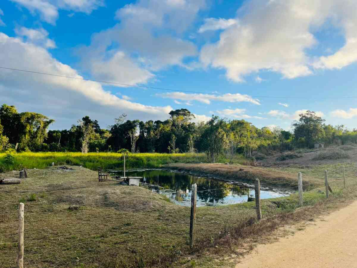 chacara-sitio-lazer-lago-represa-pomar-planta ornamental-pariquera-açu-sp- 15