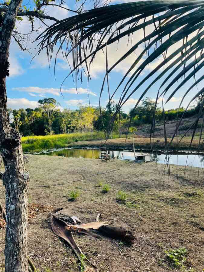 chacara-sitio-lazer-lago-represa-pomar-planta ornamental-pariquera-açu-sp- 16