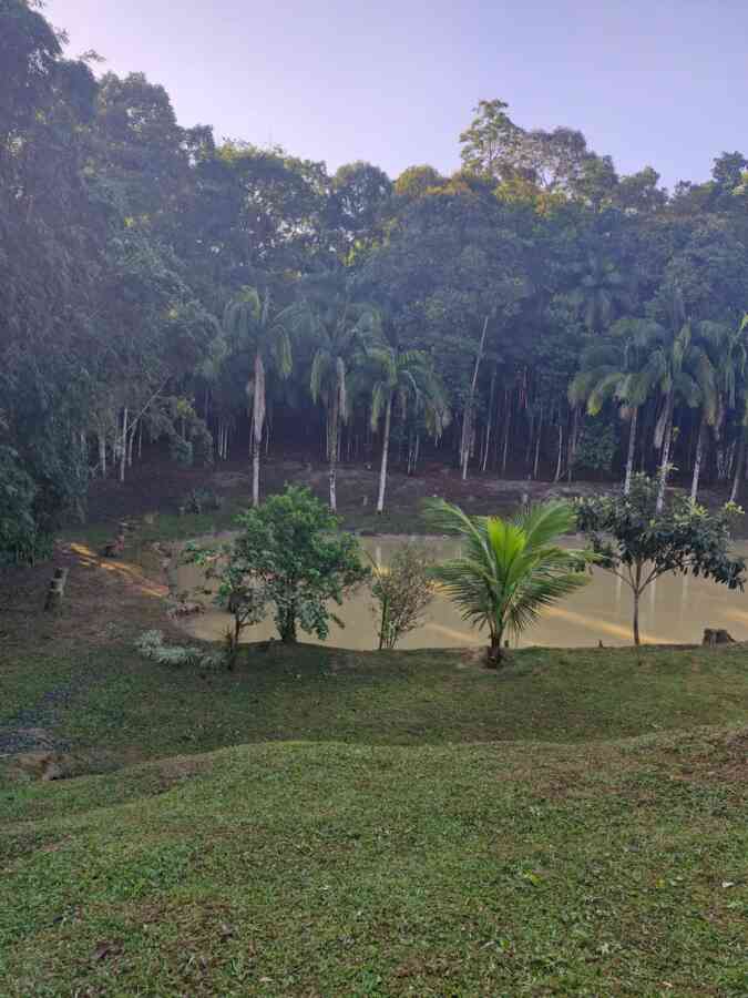 chacara-sitio-a-venda-em-pariquera-acu-sp-lago-pomar-peixe-casa-suite-2-dormitorios-churrasqueira-proxima-centro-lazer-moradia-4