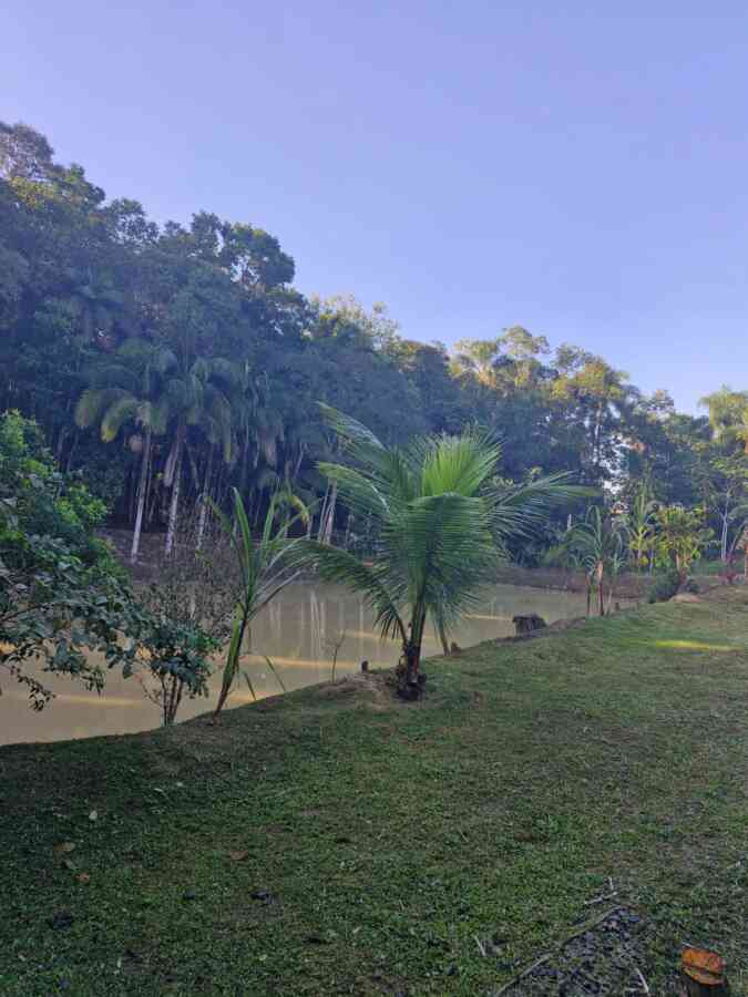 chacara-sitio-a-venda-em-pariquera-acu-sp-lago-pomar-peixe-casa-suite-2-dormitorios-churrasqueira-proxima-centro-lazer-moradia-5
