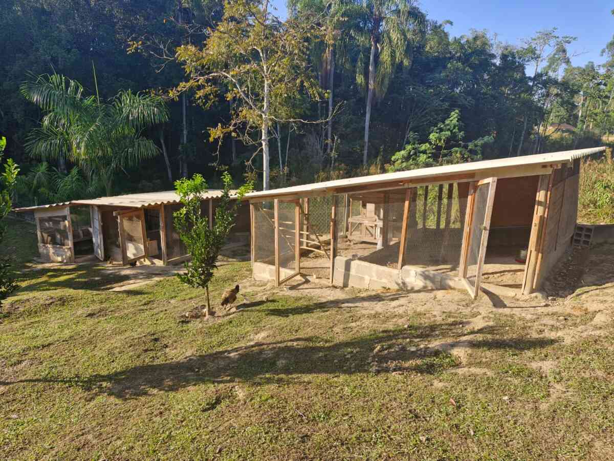 chacara-sitio-a-venda-em-pariquera-acu-sp-lago-pomar-peixe-casa-suite-2-dormitorios-churrasqueira-proxima-centro-lazer-moradia-9